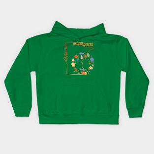 Rochester Mn Kids Hoodie